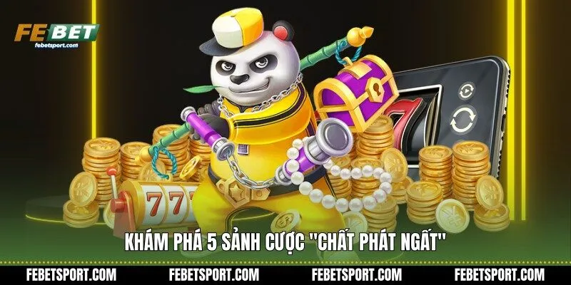 Khám phá 5 sảnh cược "chất phát ngất"